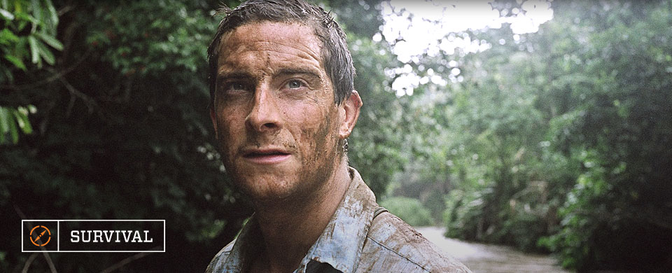 Bear Grylls Survival