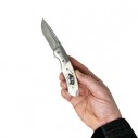 Albainox Collection Knife Boar Marked 8 cm - 19468